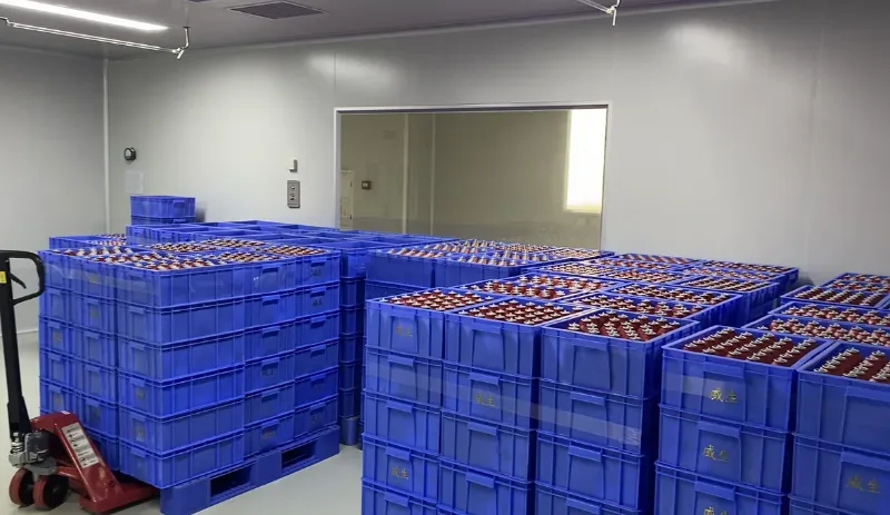 ԼՈՑԳԵԼԻ ԼԱՃԱՑՈՒՄ ԵՎ ՓՈԽԱՓՈԽՈՒՄ